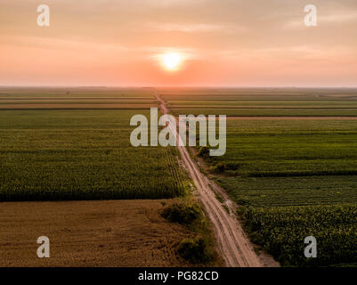 La Serbia, Vojvodina. Vista aerea del mais, grano e campi di soia nel tardo pomeriggio estivo Foto Stock