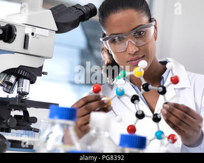 La ricerca nel campo delle biotecnologie, donna scienziato esaminando una formula chimica utilizzando una pallina e stick modello molecolare in laboratorio Foto Stock