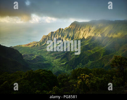 Stati Uniti d'America, Hawaii, Kauai, Valle Kalalau, Kokee State Park, vista aerea Foto Stock