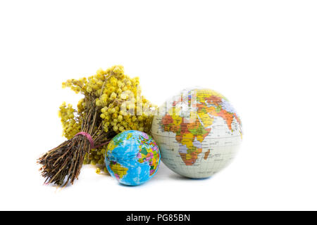 Globi e un mazzetto di giallo fiori selvatici su sfondo bianco Foto Stock