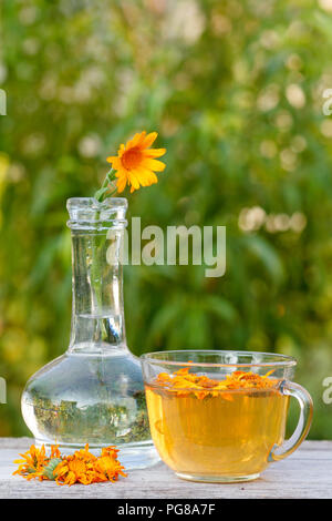 Calendula fiore con uno stelo in un pallone di vetro e lo stesso fiori accanto, una tazza di tè sulla tavola di legno con verdi sfocate sfondo naturale Foto Stock