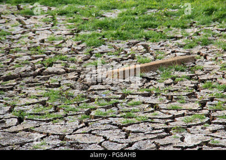 Secche e screpolate essiccamento del suolo in una grave siccità Foto Stock