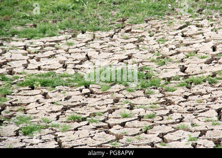 Secche e screpolate essiccamento del suolo in una grave siccità Foto Stock