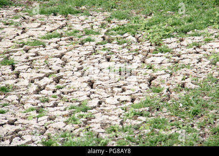 Secche e screpolate essiccamento del suolo in una grave siccità Foto Stock