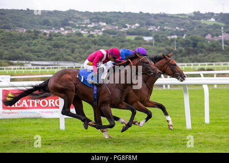 Ffos Las Racecourse, Trimsaran, Wales, Regno Unito. Venerdì 24 agosto 2018. Palavecino (jockey Nicky Mackay) (lato lontano) vince l'O'Brien & Partners/EBF novizio picchetti (Gara 2) da Momkin (jockey Silvestre De Sousa) Credito: Gruffydd Thomas/Alamy Live News Foto Stock