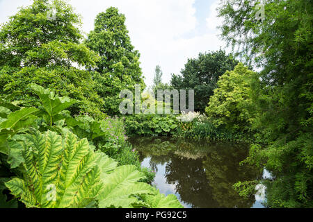 Piccolo Duck Pond circondate da sontuosi verde di Hyde Hall giardino Essex, Regno Unito Foto Stock