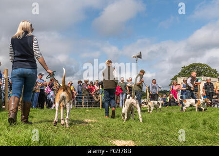 I concorrenti aventi i loro cani giudicati in Hawkshead mostrano in Cumbria Foto Stock
