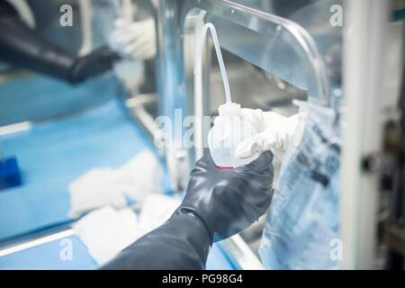 I tecnici passando una bottiglia di soluzione in una sterile sigillato unità isolatore in ingegneria dei tessuti laboratorio. Foto Stock