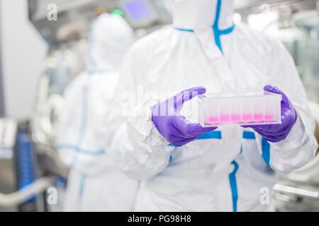 Close-up di un tecnico di laboratorio che porta a base cellulare kit di test in un laboratorio che gli ingegneri dei tessuti umani per l'impianto. Tali impianti comprendono osso e trapianti di pelle. Foto Stock