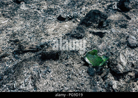 Vetro verde bottiglia rotta sulla foresta bruciato piano Foto Stock