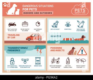 Il Pet consigli di sicurezza Una infografica con icone: come proteggere i vostri animali domestici da pericoli Illustrazione Vettoriale