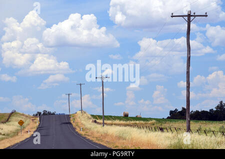 Country Road scintillante nella calura estiva di haze e fiancheggiata da campi e pali del telegrafo in prossimità di Canowindra nelle zone rurali del Nuovo Galles del Sud, Australia Foto Stock