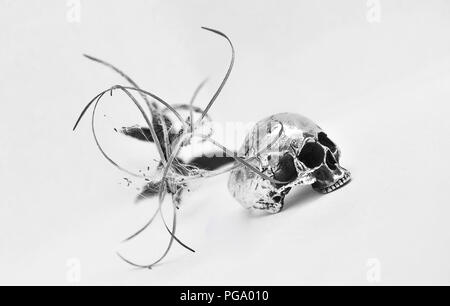 Scull argento anello con fiori, sfondo bianco. Foto Stock