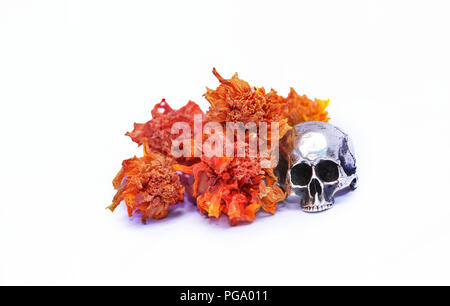 Scull argento anello con fiori, sfondo bianco. Foto Stock