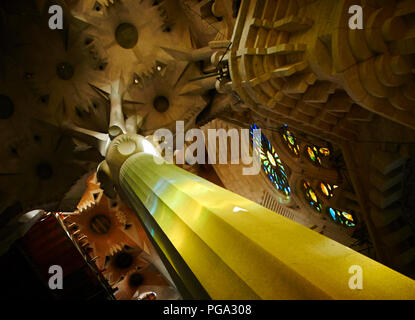 La Sagrada Familia interno da Gaudì a Barcellona, Spagna Foto Stock