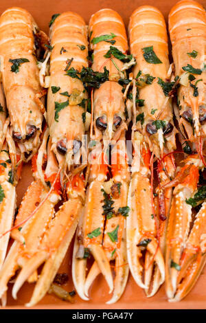 Scozzese, scampi Nephrops norvegicus, acquistato da un supermercato e fotografato su una piastra dopo aver fritto nel burro e aglio e prezzemolo. La lang Foto Stock