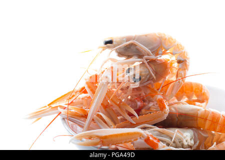 Una ciotola di materie non cotti scozzese, scampi Nephrops norvegicus, acquistato da un supermercato e fotografata in uno studio su uno sfondo bianco. Il Foto Stock