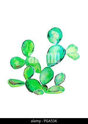 Giovani ficodindia cactus pianta. Acquerello illustrazione raster. Indiche di Opuntia Foto Stock