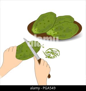 Verde commestibile foglie di cactus o nopales su sfondo bianco. Disegnata a mano illustrazione vettoriale adout preparazione alimentare di cactus. Il fico d'India Pale di cactus Illustrazione Vettoriale