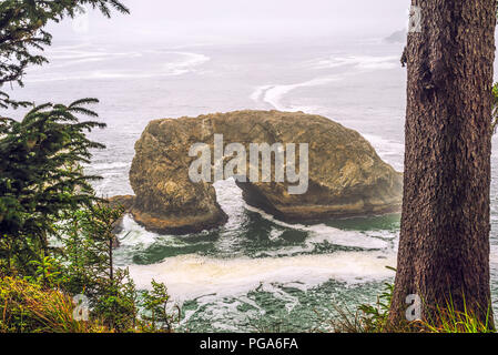 Foggy Oregon Coast e l'Oceano Pacifico. Samuel H. Boardman membro Scenic corridoio, Southwestern Oregon Coast, Stati Uniti d'America. Foto Stock