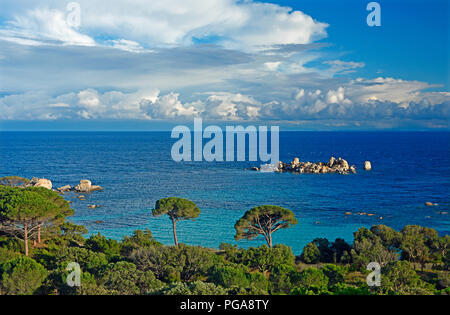 Baia di Palombaggia con mare blu turchese, Porto Vecchio, Corse-du-Sud dipartimento, Corsica, Francia Foto Stock