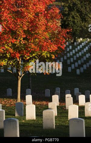 In autunno il Cimitero Nazionale di Arlington (30140633373). Foto Stock