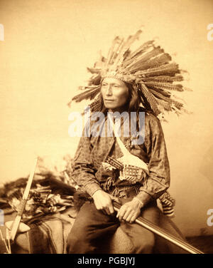 Poco, Oglala band leader, tre quarti di lunghezza ritratto in studio, seduto, rivolto verso la parte anteriore, indossando la Turchia di acconciatura di piume, pantaloni e camicia, tenendo fucile in giro. Foto Stock