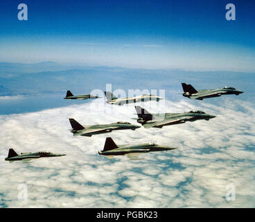 Un aria-aria - Vista laterale destra del Fighter Squadron 51 (VF-51) e Fighter Squadron 111 (VF-111) F-14A Tomcat aerei, F-5E Tiger II aeromobili e un F-5F Tiger II aeromobili a seguito di una sessione di formazione alla Cina lago Electronic Warfare gamma. Foto Stock