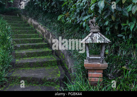 Vecchie scale di pietra coperti di muschio in giardino Foto Stock