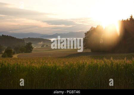 I campi, polvere e montagne Foto Stock