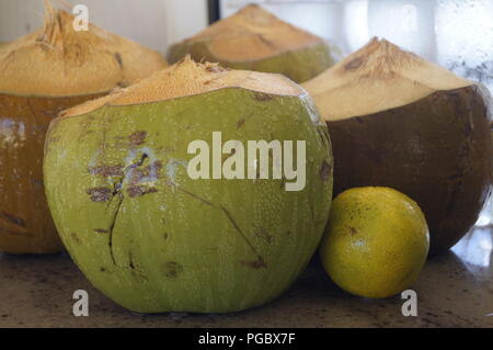 Noci di cocco e arancio, Sano frutta organica posa su un tavolo di marmo Foto Stock