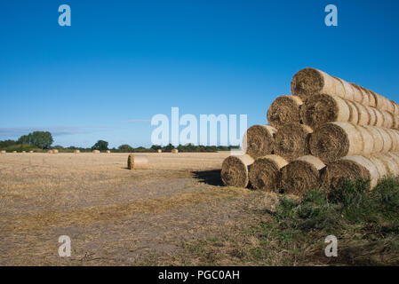 Rotondo grande balle di fieno accatastati nel campo dopo la mietitura del mais Foto Stock