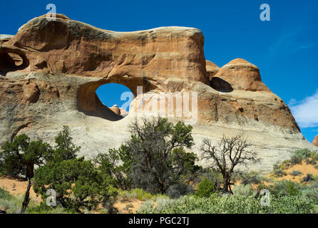 Formazione di Tunnel Arch Rock nel Parco Nazionale di Arches, Utah, a sudovest degli Stati Uniti d'America Foto Stock
