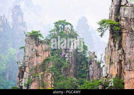 Paesaggi di montagna,formazioni,rocce,Viste,nebbia,nuvole,Zhangiajie Parco Nazionale,Wulingyuan,nella provincia del Hunan,PRc,Repubblica Popolare Cinese,Cina Foto Stock