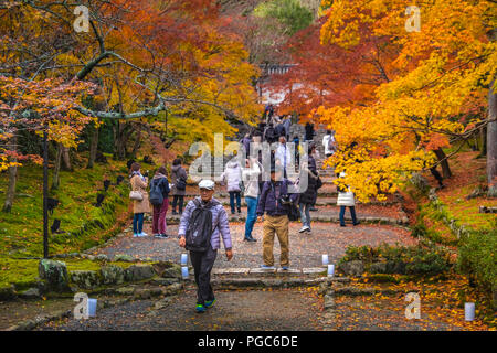 Bella cascata, autunno paesaggio intorno a Nison in (Nisonin) Tempio, Sagano Arashiyama area, Kyoto, Giappone Foto Stock