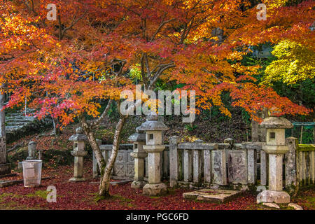 Bella cascata, autunno paesaggio intorno a Nison in (Nisonin) Tempio, Sagano Arashiyama area, Kyoto, Giappone Foto Stock