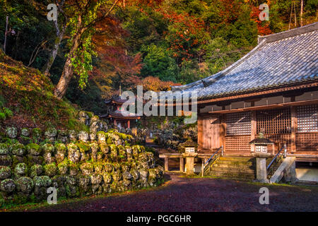 Statue di pietra a Otagi Nenbutsu ji, Sagano Arashiyama area, Kyoto, Giappone Foto Stock