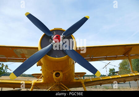 Vecchio biplano close-up. Vista anteriore con la parte laterale della fusoliera. Chiara giornata di sole. Foto Stock