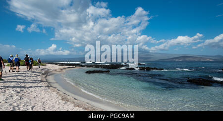 Un gruppo di turisti a piedi su una spiaggia nelle isole Galapagos. Foto Stock