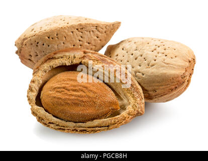 Mandorle con guscio isolato su uno sfondo bianco. Foto Stock