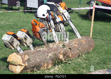 Motoseghe incorporato in un tronco di albero pronto per scolpire Foto Stock