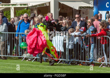 Strathaven, Scotland, Regno Unito. Il 25 agosto, 2018. Un membro del cielo Masters, da Skydive Strathallan intorno al perimetro della folla che porta il suo paracadute e dare alta cinque dopo un salto di successo a Strathaven Balloon Festival festeggia il suo ventesimo anniversario ed è trattenuto nel premiato John Hastie Park. Credito: Berretto Alamy/Live News Foto Stock