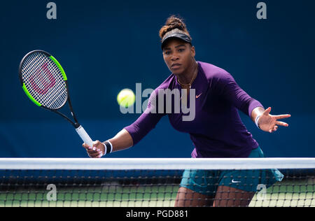New York, Stati Uniti d'America. 25 Ago, 2018. New York, New York, Stati Uniti d'America. 25 Ago, 2018. SERENA WILLIAMS degli Stati Uniti pratiche al 2018 US Open Grand Slam torneo di tennis. New York. Credit: AFP7/ZUMA filo/Alamy Live News Credito: ZUMA Press, Inc./Alamy Live News Foto Stock