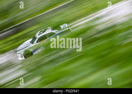 Elkhart Lake, WI, Stati Uniti d'America. 24 Ago, 2018. Tyler Reddick (9) pratiche per il nono Johnsonville annuale 180 a Road America di Elkhart Lake, WI. Credito: Stephen A. Arce/ASP/ZUMA filo/Alamy Live News Foto Stock