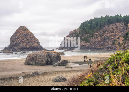 Whaleshead Beach. Samuel H. Boardman membro Scenic corridoio, Southwestern Oregon Coast, Stati Uniti d'America. Foto Stock