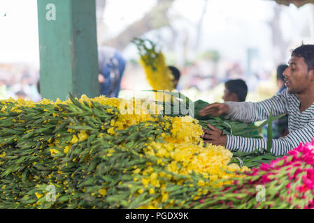 Commercio all'ingrosso mercato di fiori, godkhali,Jhikorgacha, jessore 2016 Foto Stock