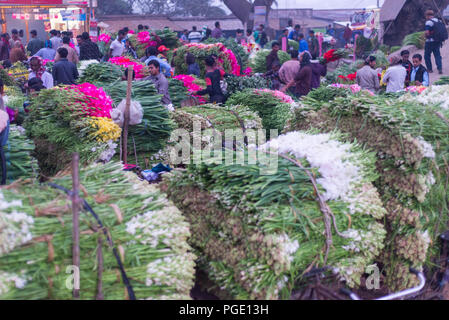 Commercio all'ingrosso mercato di fiori, godkhali,Jhikorgacha, jessore 2016 Foto Stock