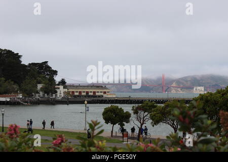 Affacciato sul parco acquatico, parte del San Francisco Maritime National Historical Park, San Francisco, California, Stati Uniti d'America Foto Stock