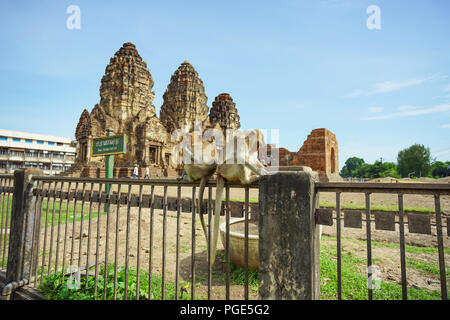 Due scimmie nella parte anteriore del Phra Prang Sam Yod, Lopburi, Thailandia Foto Stock