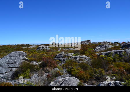 La Table Mountain è 1 dei famosi punti di riferimento di Cape Town. Si tratta di un necessario vedere per i turisti e per i cercatori di avventura. Per saperne di più su marybee719.blogspot.com Foto Stock